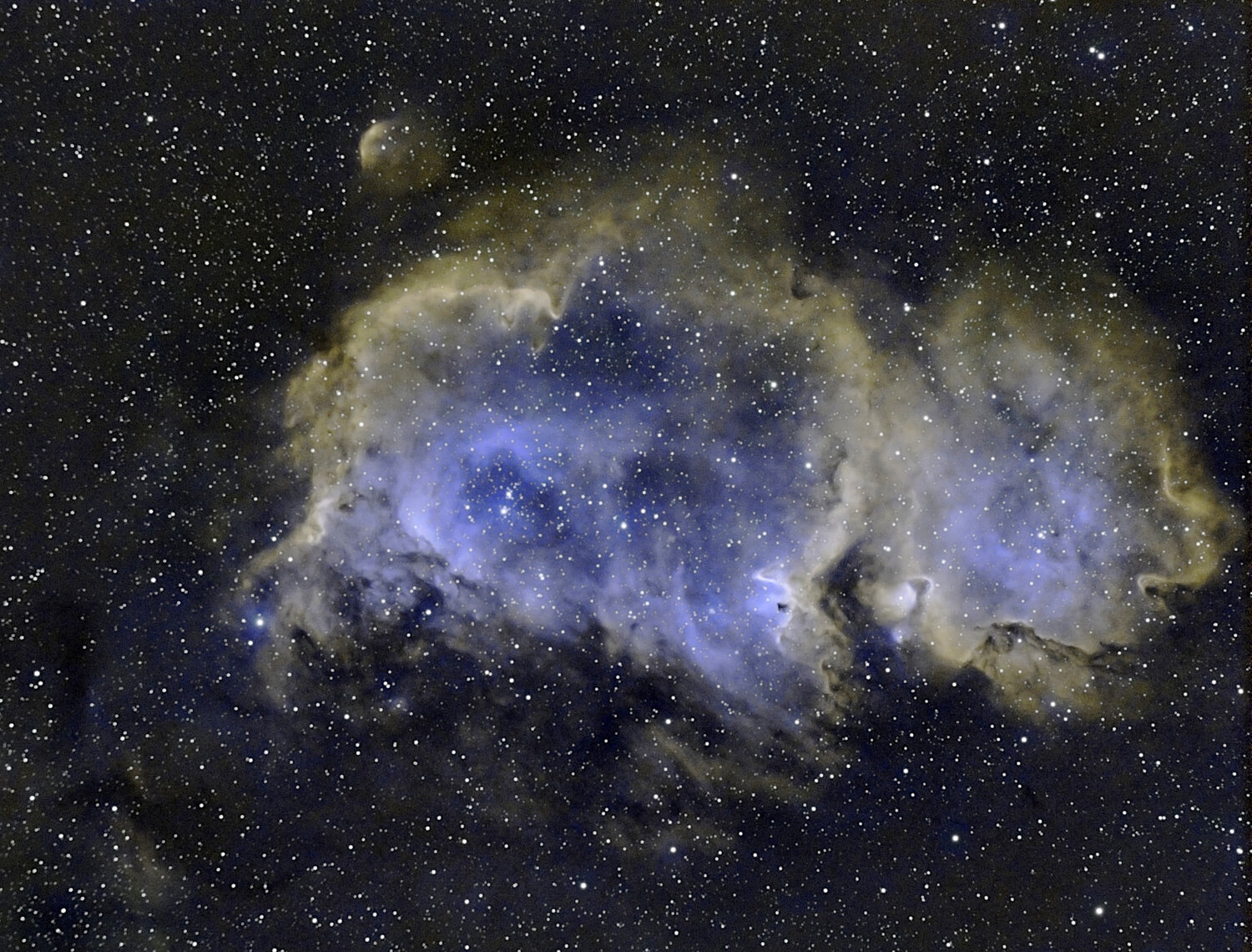 IC18487-Starnett-Final2222R.thumb.jpg.54d1cbc45b63ad85a4c6647721d032e6.jpg