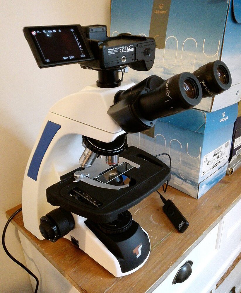 LumixG5_sur_microscope.thumb.jpg.d2701f3be6c3915e2e97f90e84251b52.jpg