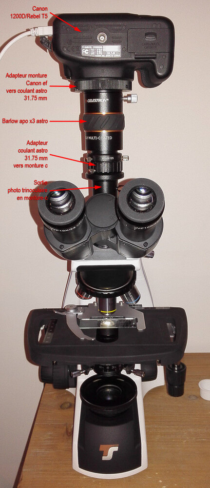 confi_microscope_APN02_full.thumb.jpg.0be8428ca683f7b7775da237fcfbb184.jpg