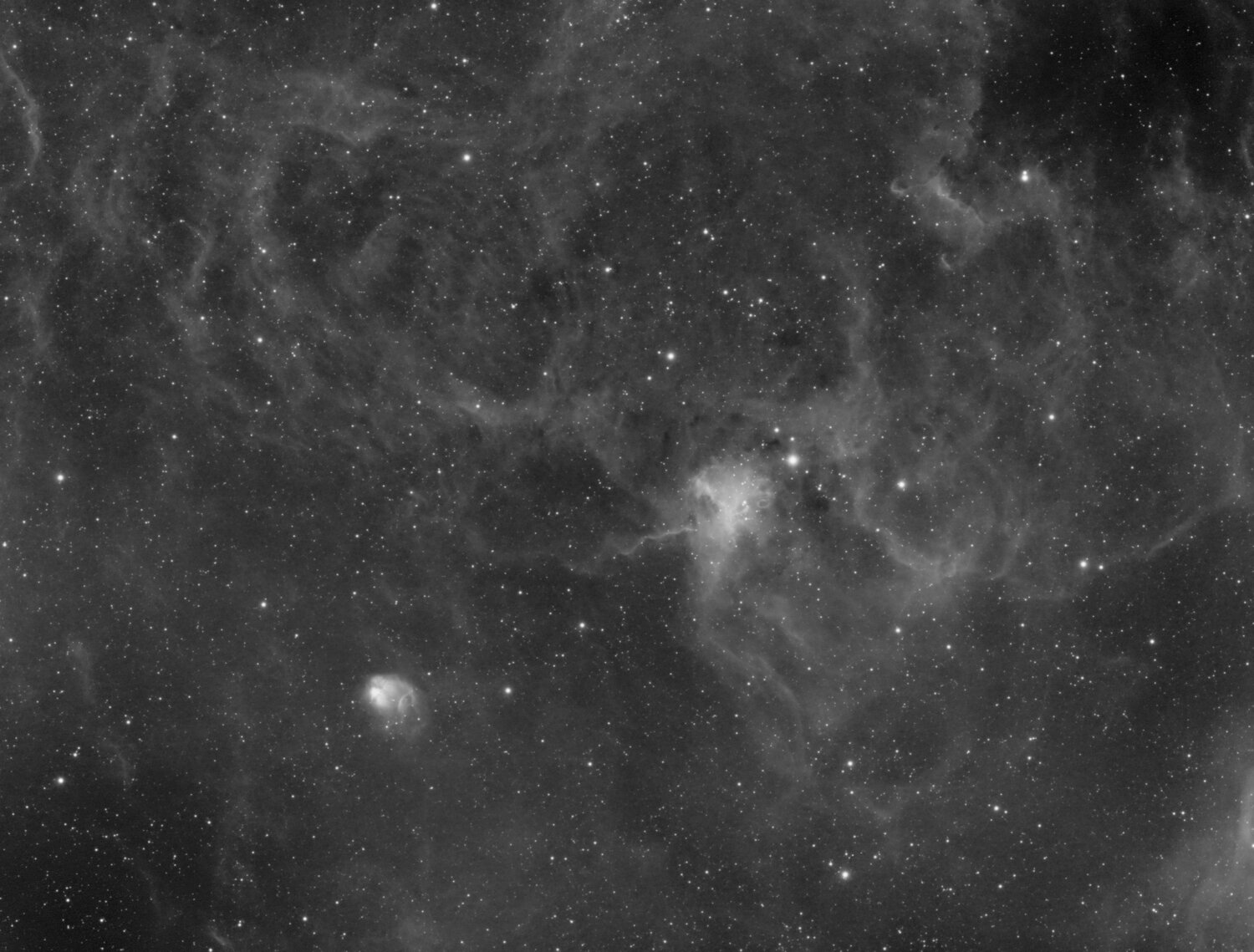 Araignee_NetB2DxO Tiff .jpg