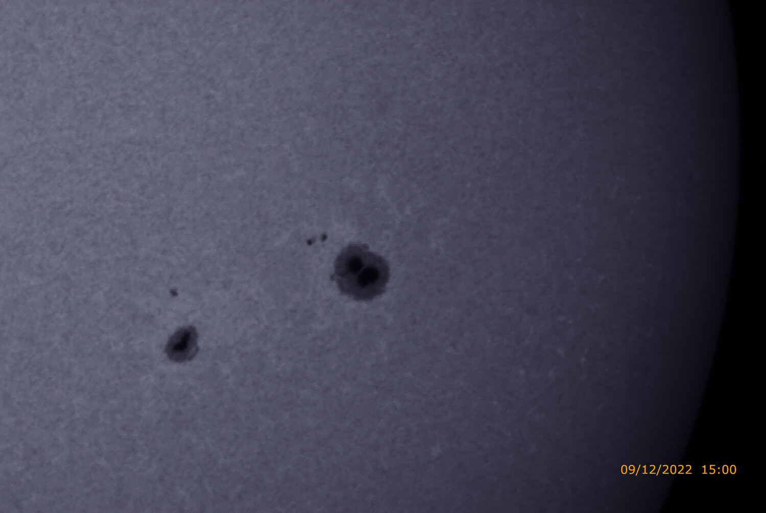 309 Zoom_calcium k-line_color (2).jpeg