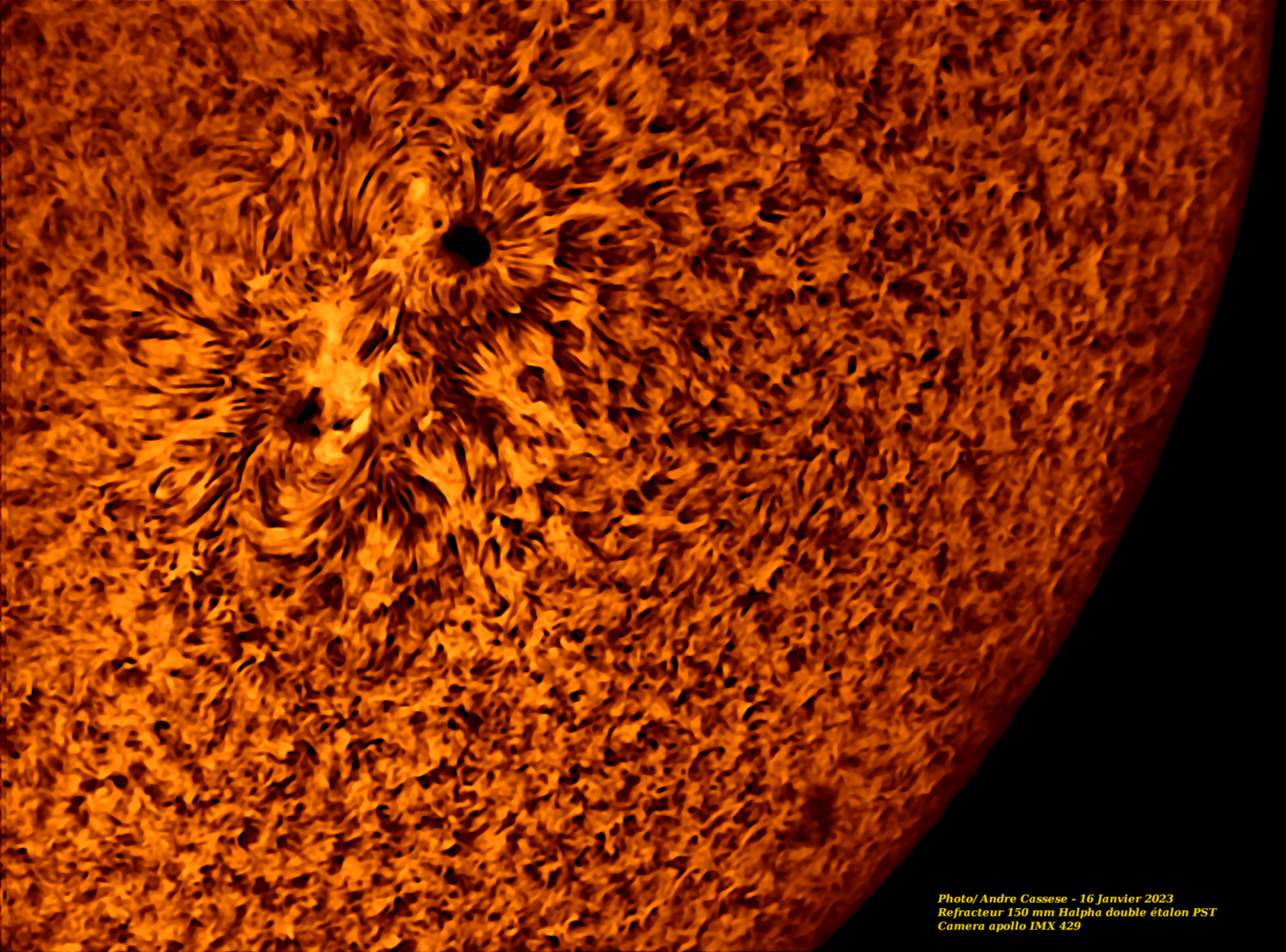504481077_2023-01-16-1206_6-U-IR-Sun_Halpha_grossetachesolaire_100r_24T_203reg.png