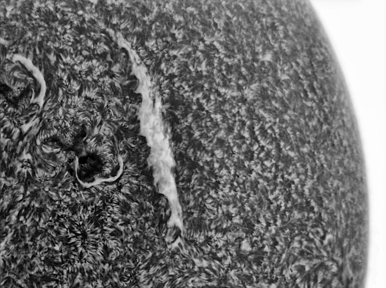 2023-01-18-1030_5-U-IR-Sun_Halpha_grosse tache solaire_gg100r_24T_217reg.png