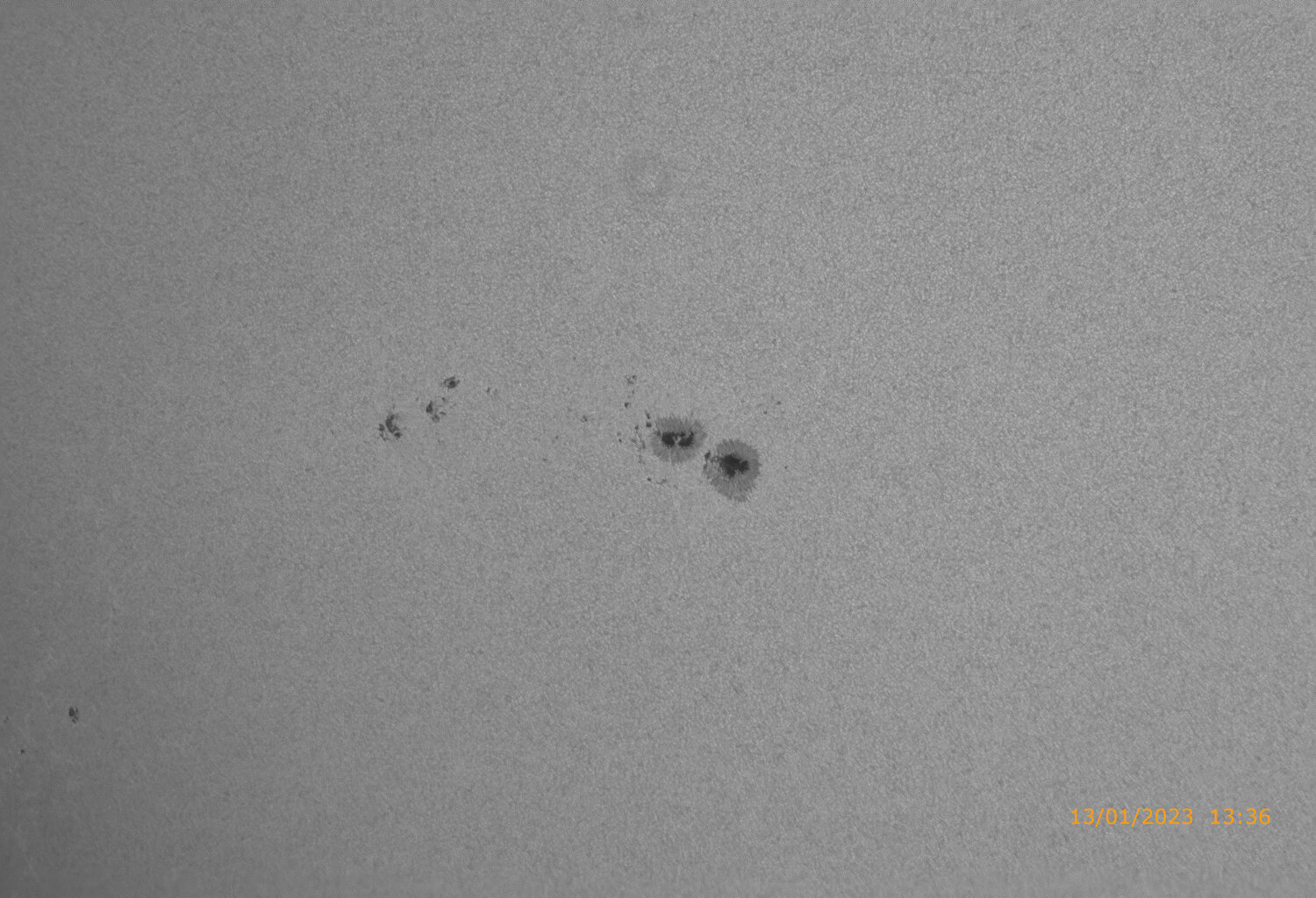 327 Zoom_continuum_color.jpeg