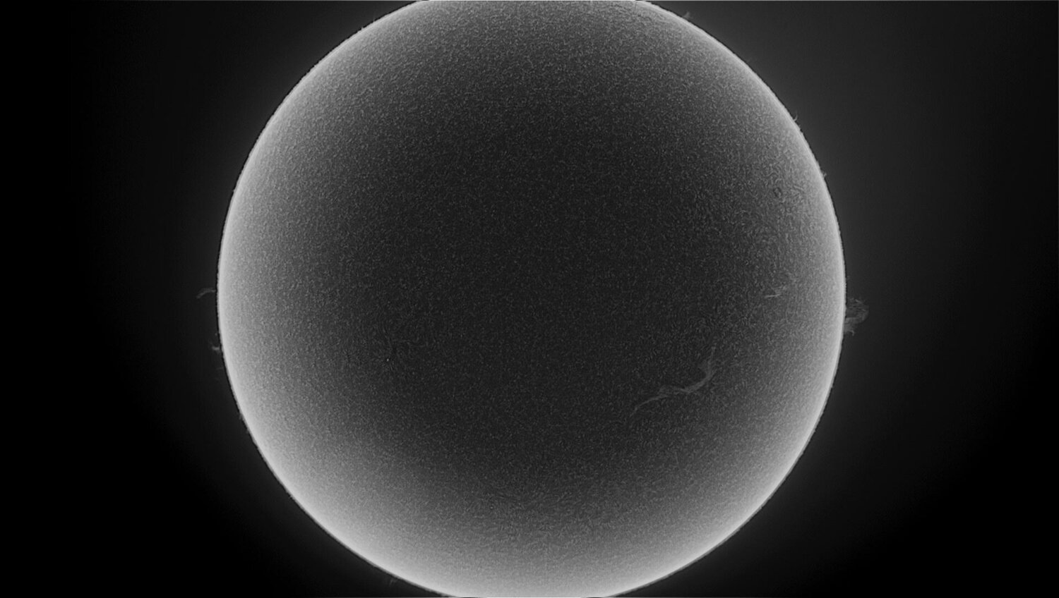 image.thumb.jpeg.c37f60f34cf47f938c86a82630abccc6.jpeg