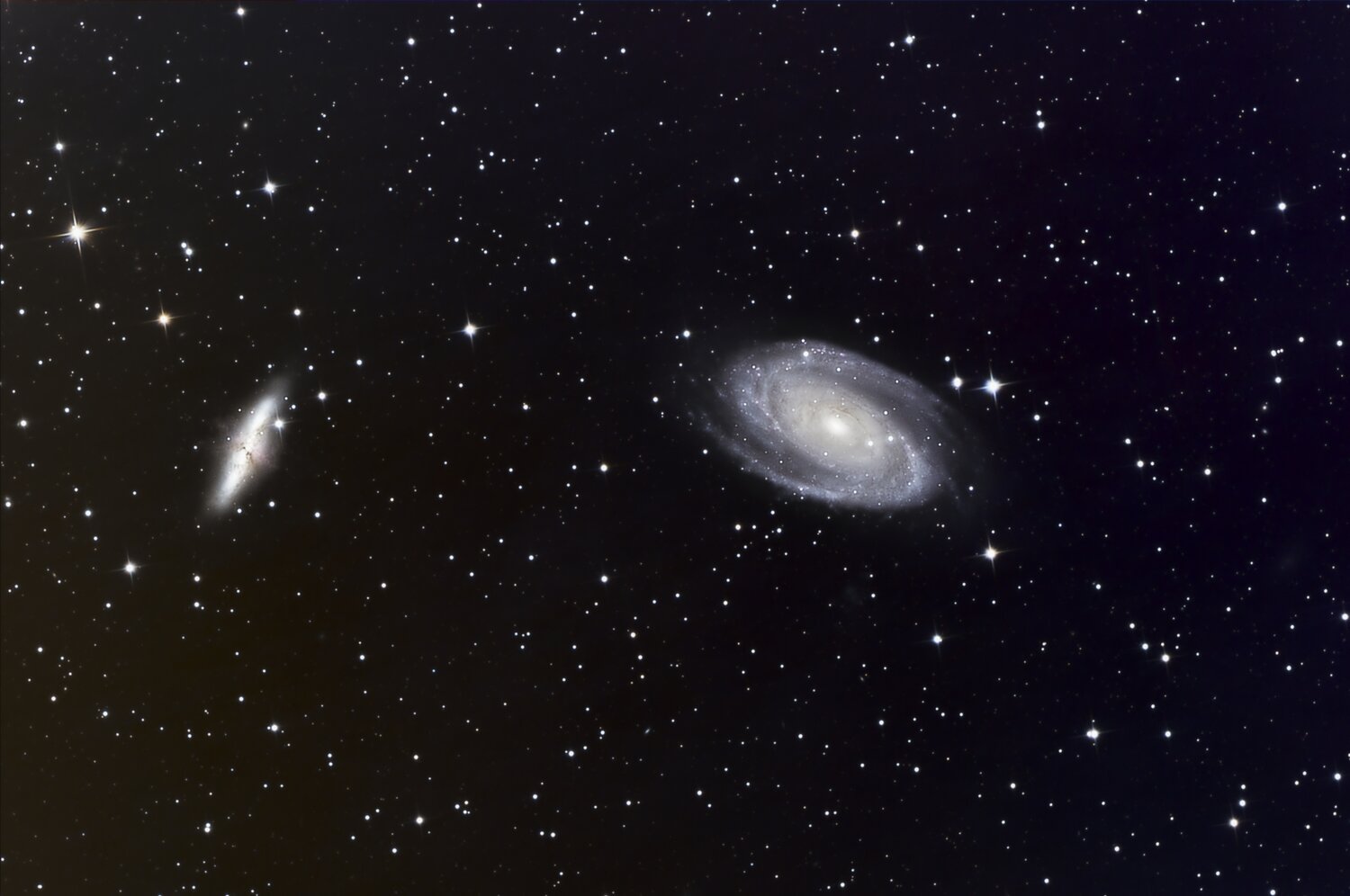 Bode profil couleur.jpg