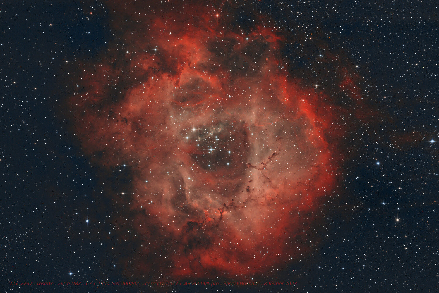 20230208_NGC2237_rosette_gimp_3M.thumb.jpg.31ed7e97aef7e7e97c33f84c3a0efb69.jpg