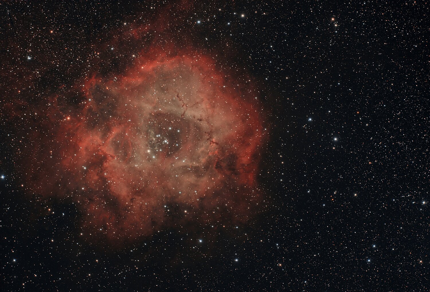 NGC2237_SIRIL2R.thumb.jpg.f02dbea448a36d8572a4074008a4dd21.jpg