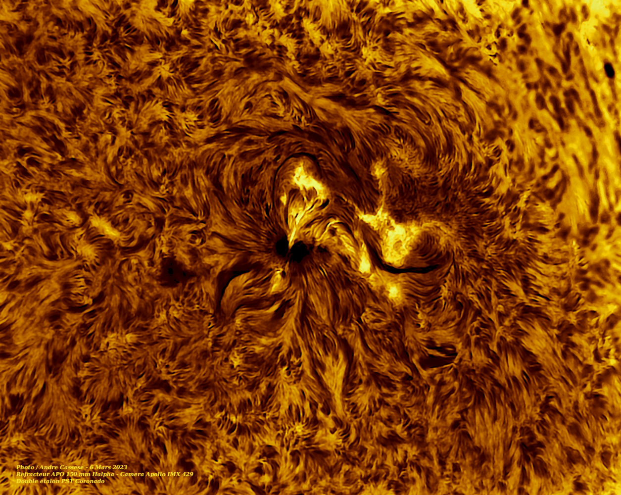 1945902479_2023-03-06-1509_5-IR-Sun_Halpha_refracteur150mmhalpha_100htyr_24T_1202reg.png