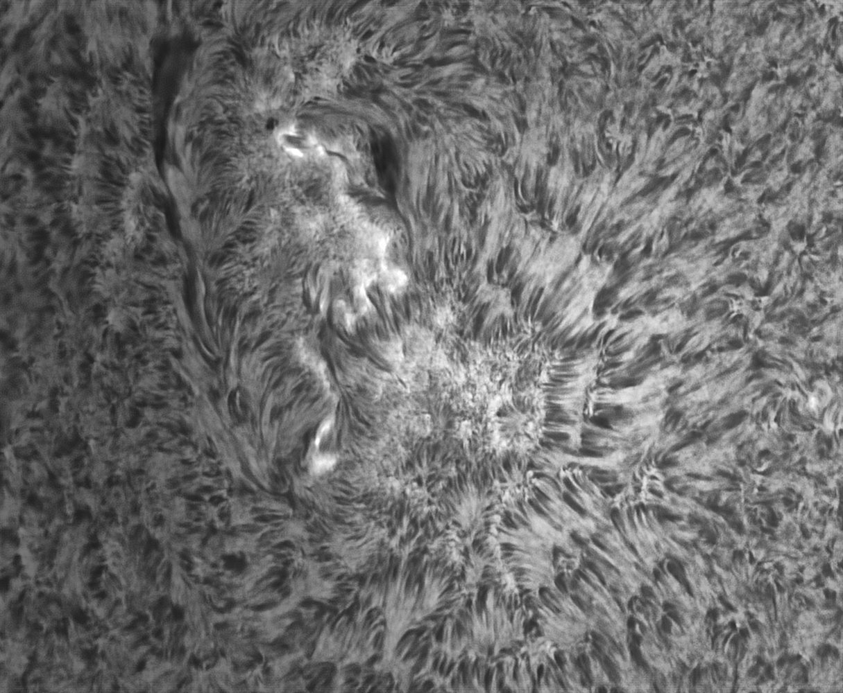2023-04-15-1324_7-IR-Sun_Halpha_refracteur 150 mm halpha_100r_24T_599reg.png