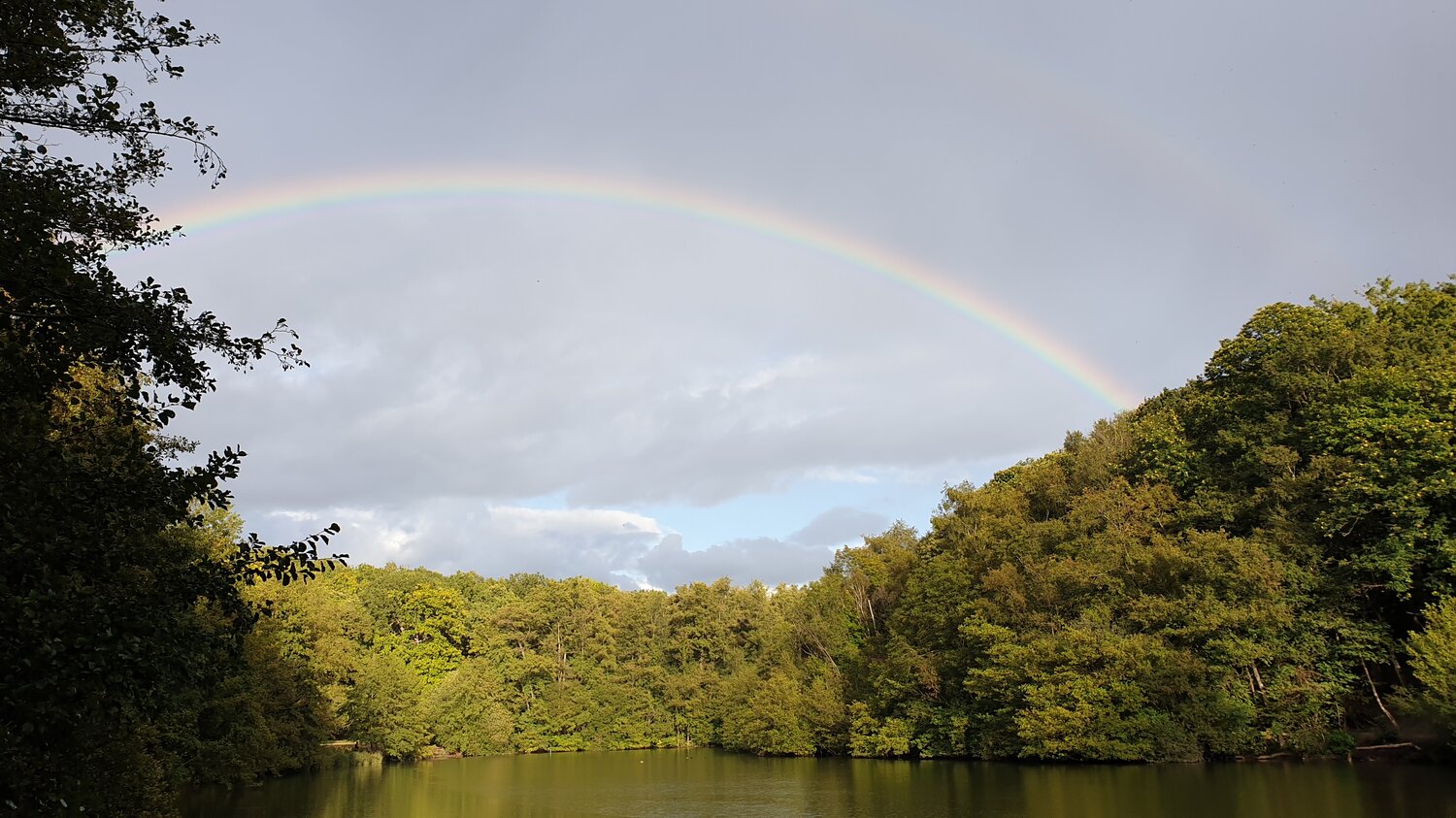 2022-09-25 18.12.34.jpg