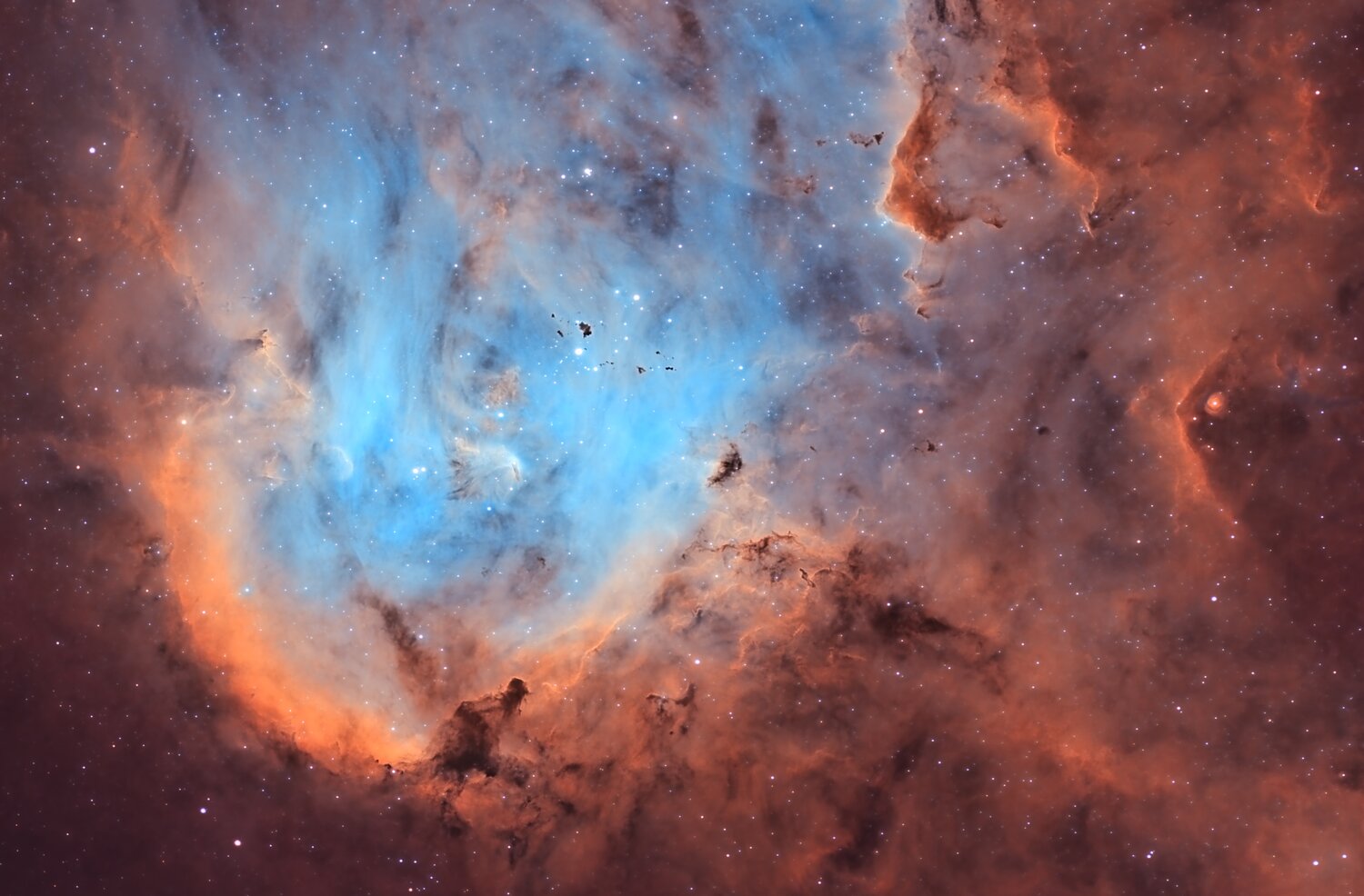 IC2948_crop.jpg