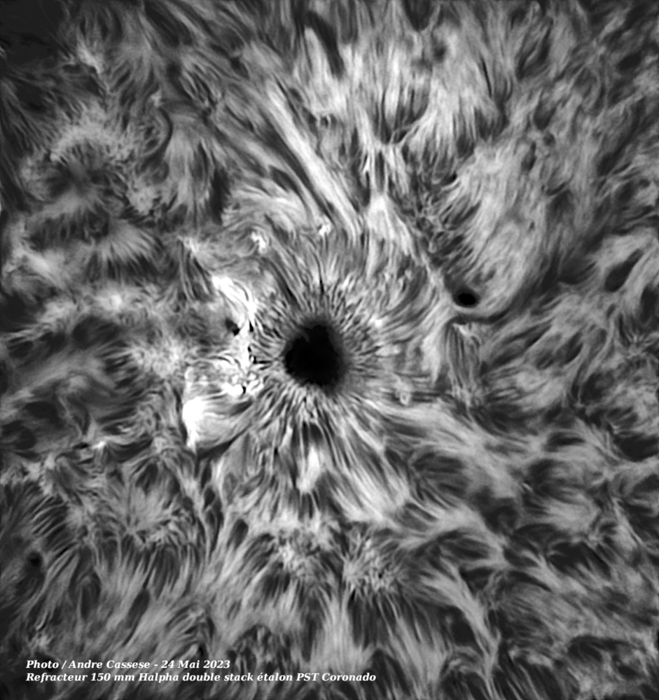 2023-05-24-0939_8-IR-Sun_Halpha_refracteur 150 mm halpha_100r_24T_1181reg.png
