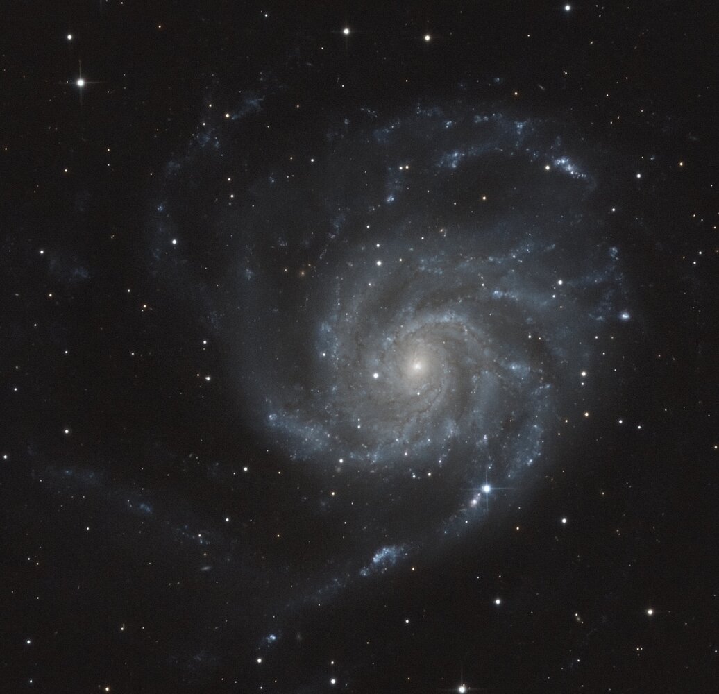 M101 SN 2023.jpg