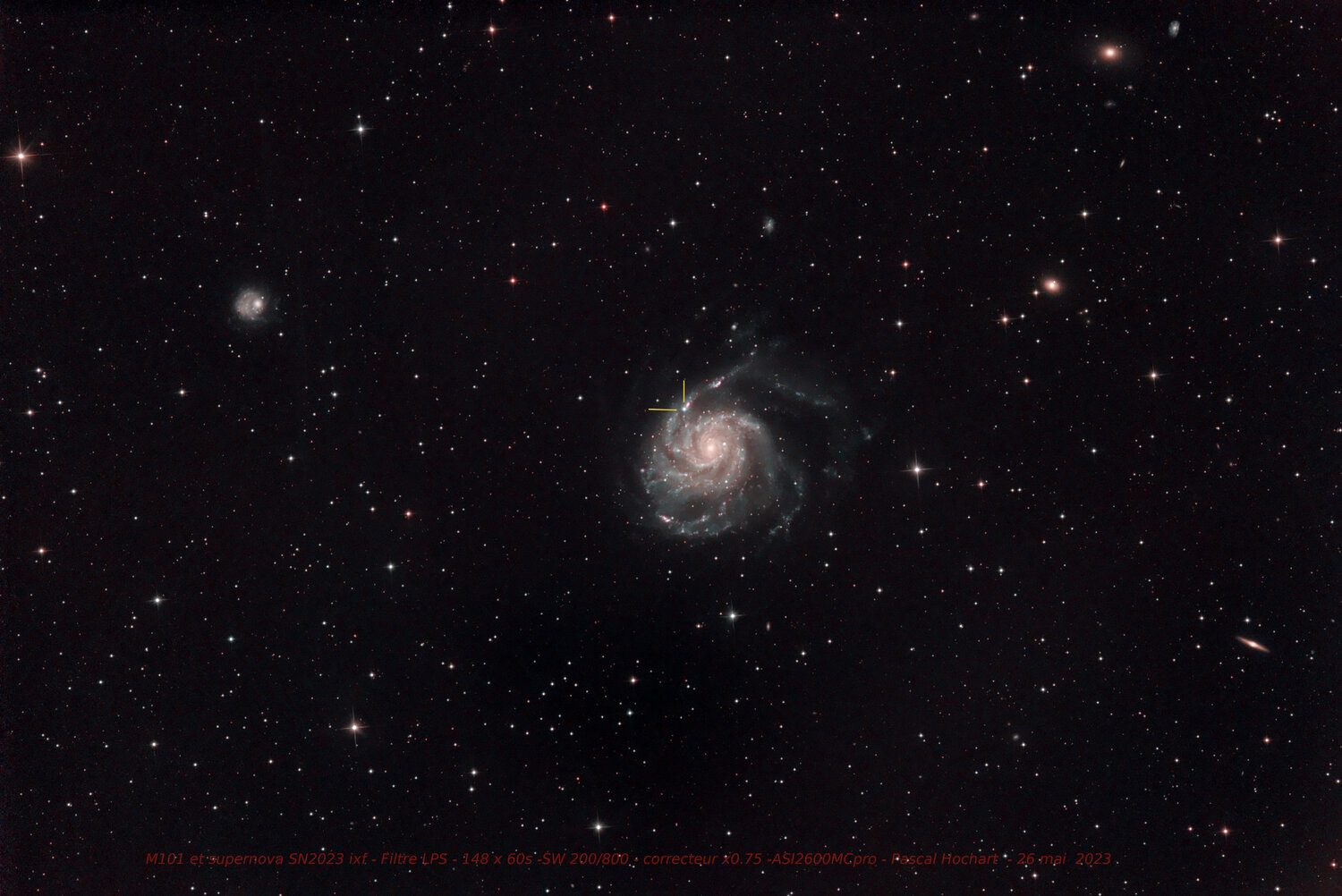 20230526_M101_LPSgimp_annot3M.thumb.jpg.3934ea8d2c8d61a2e402952193df2d4b.jpg