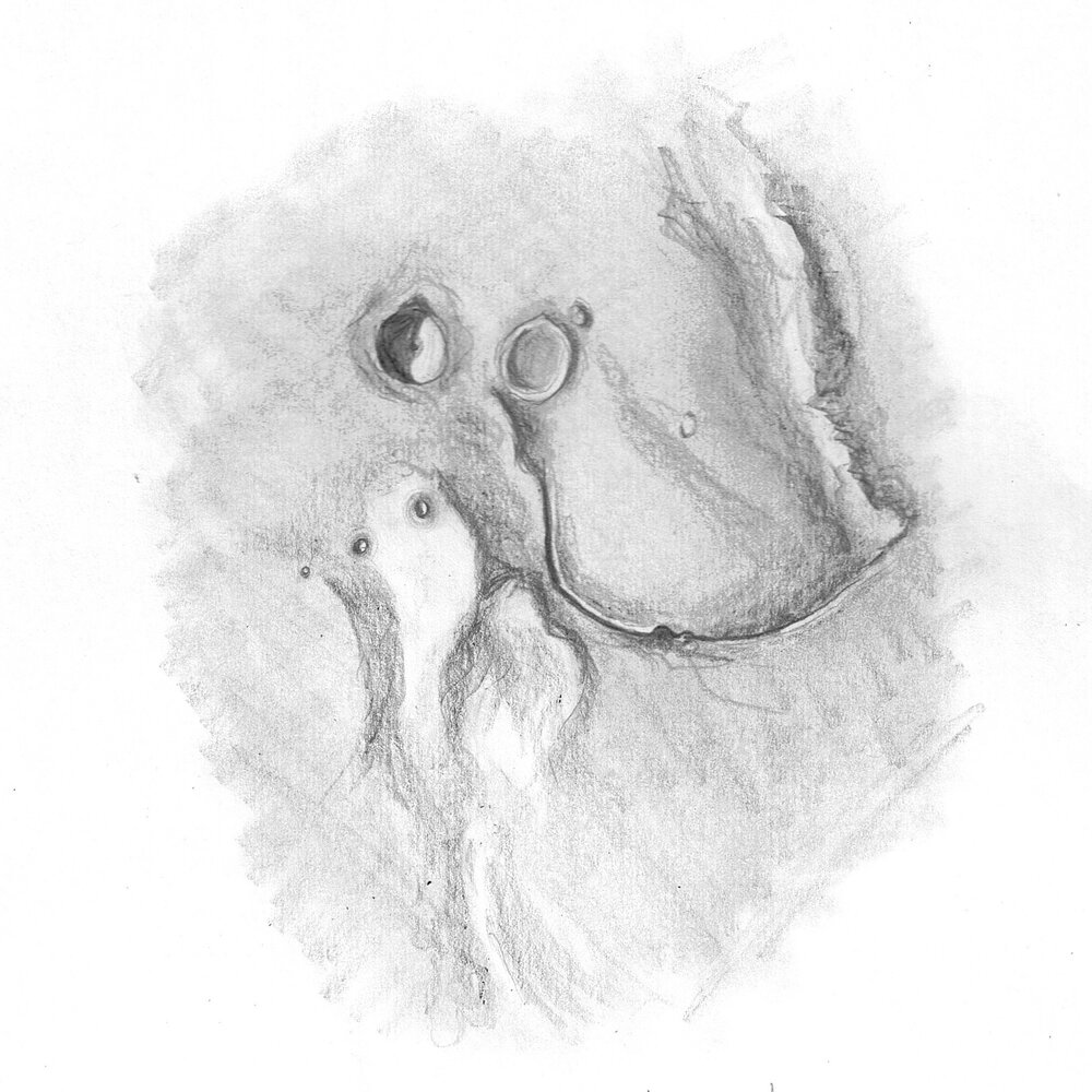 IMG_2097.thumb.jpeg.e01083ec2b1974c5dcbe6aa693650a1e.jpeg