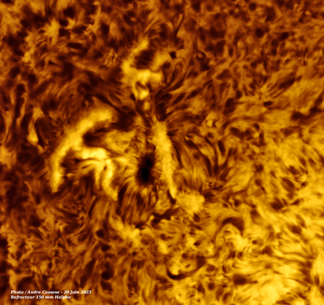 1008112792_2023-06-20-1219_1-IR-Sun_Halpha_refracteur150mmhalpha_100r_24T_763reg.png