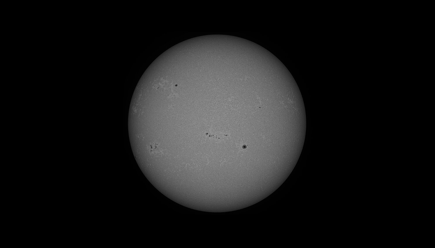 411 Fusion_Cak_mono.jpg