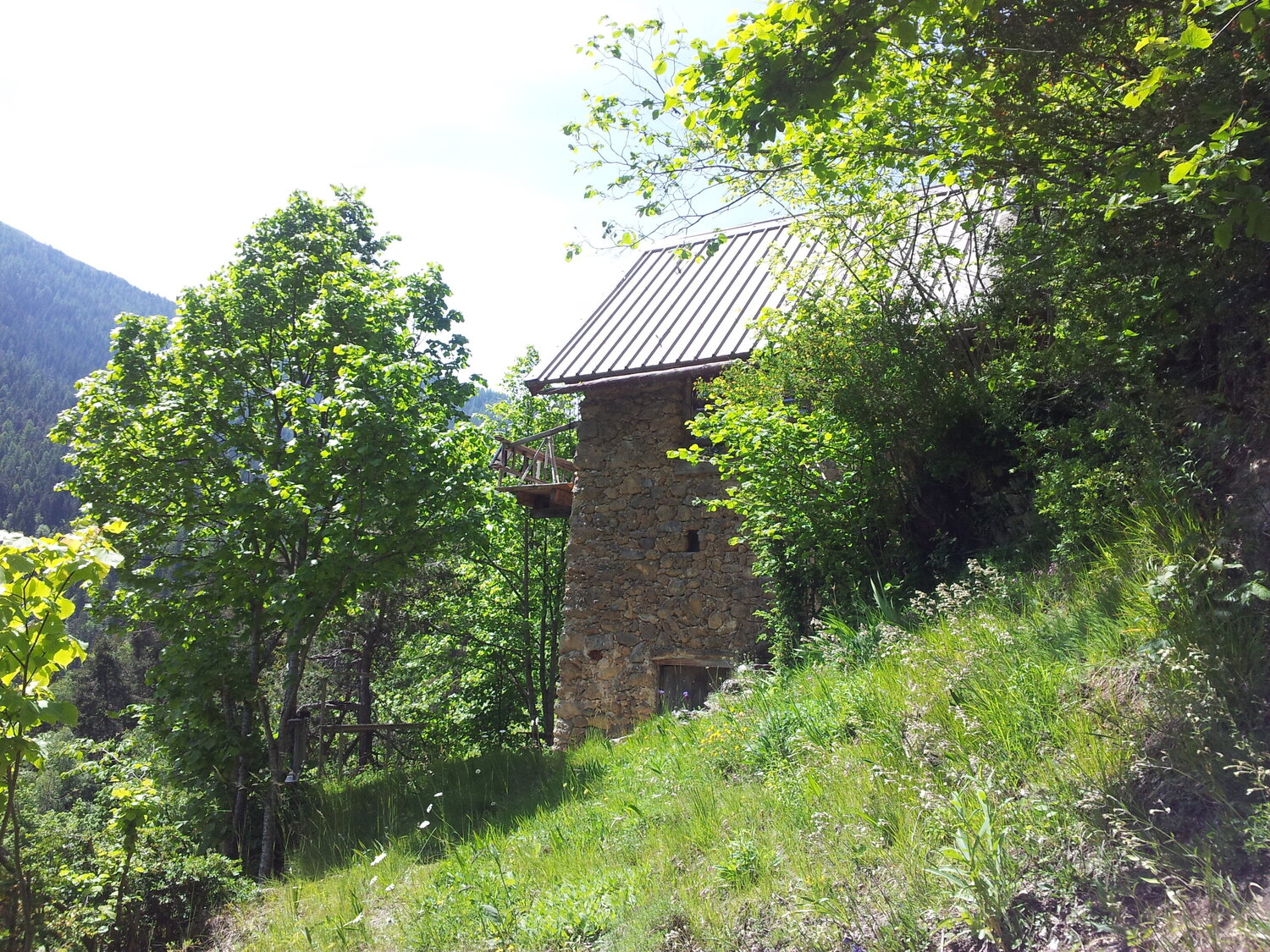 2014-06-07 12.02.08.jpg