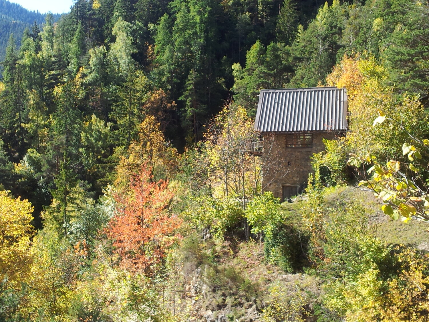 2015-10-11 11.37.36.jpg