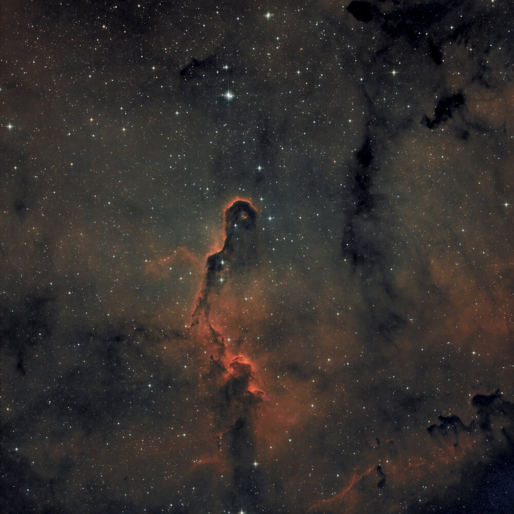 IC1396_PS.thumb.jpg.50ee168565b5565d0ef09a0d49d2988f.jpg