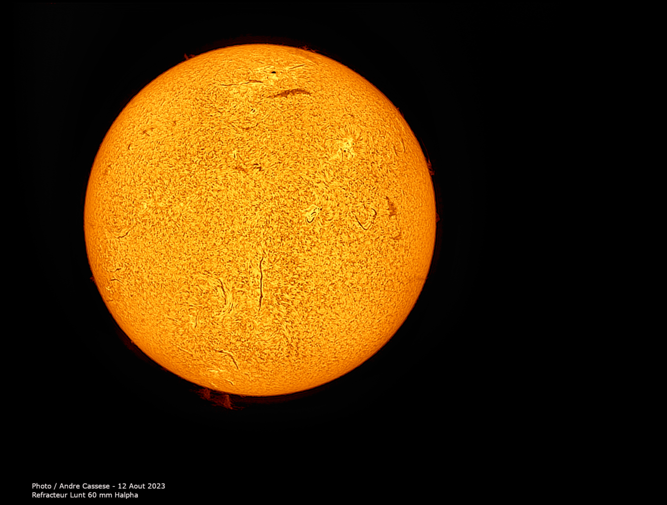 2023-08-12-1632_9-U-IR-Sun_Halpha__100r_24T_611reg.png.51cc12cb394632584a78358aa489b0af.png
