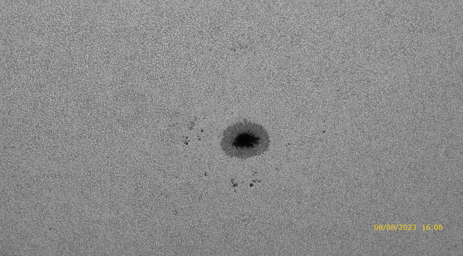 431 (1)_zoom_continuum_wavelets AS.jpg