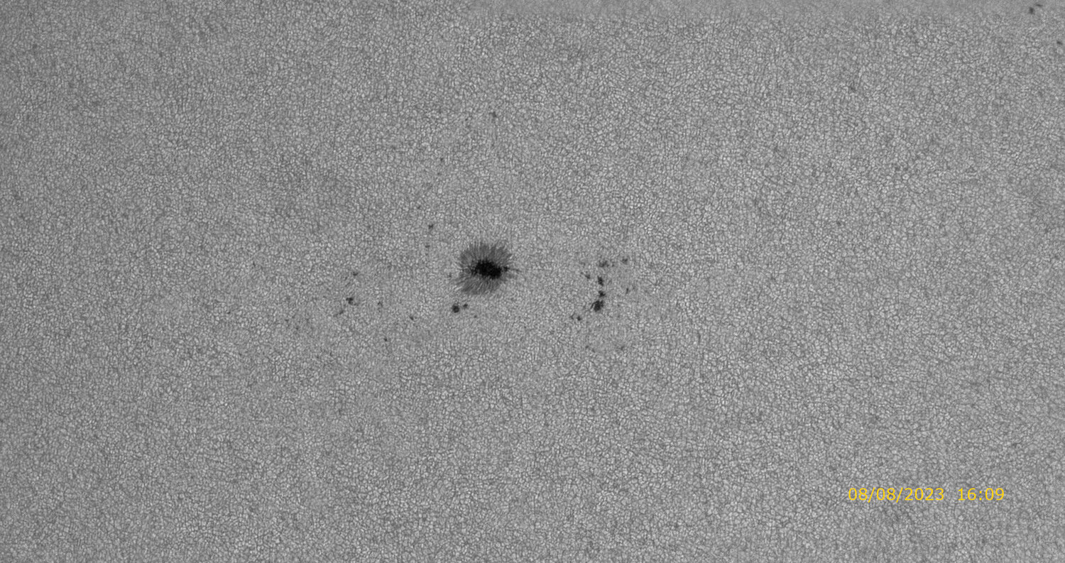 431 (2)_zoom_continuum_wavelets AS.jpg