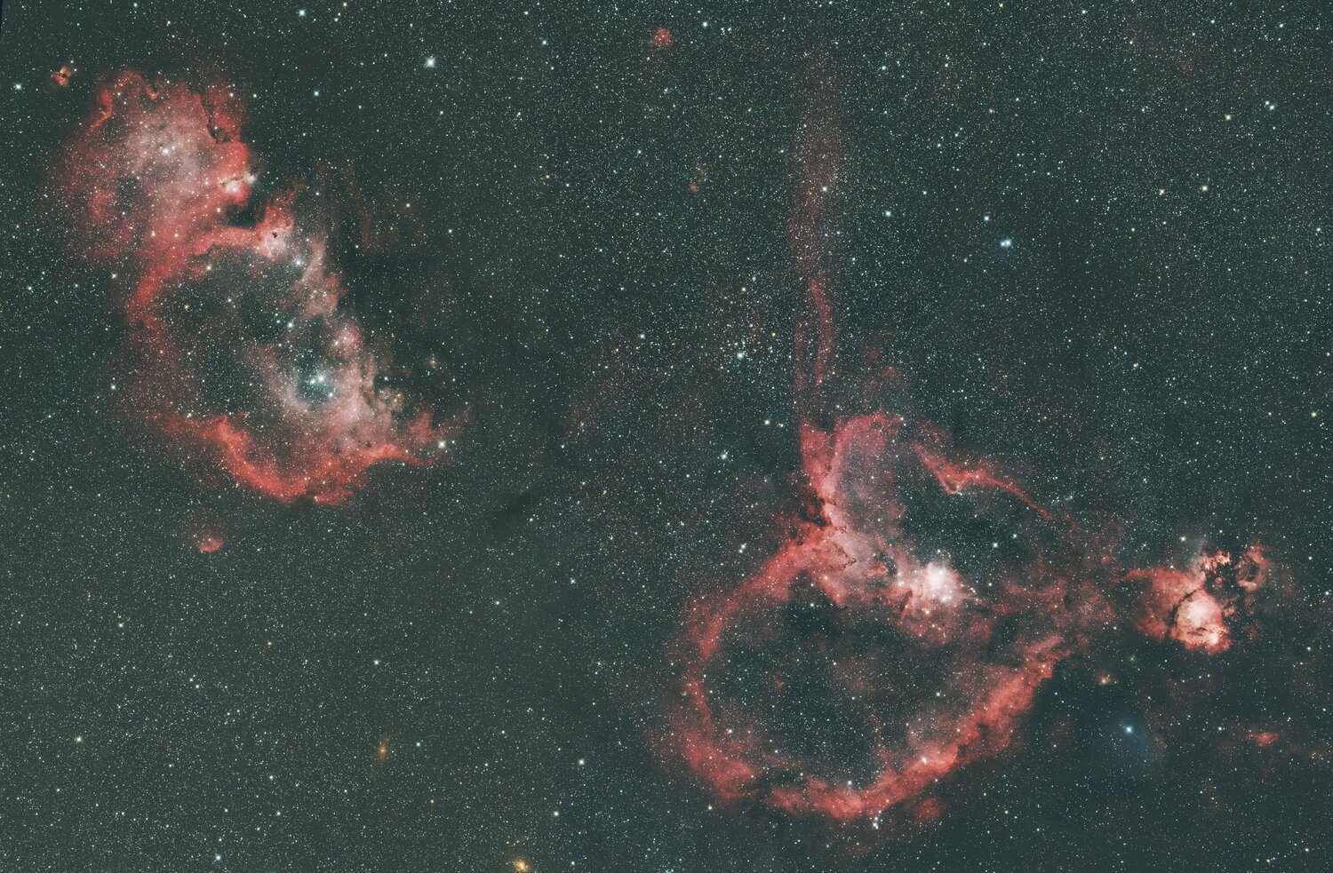 IC1805_1848.thumb.jpg.aa1139a63034205de3d3bc04604ec966.jpg