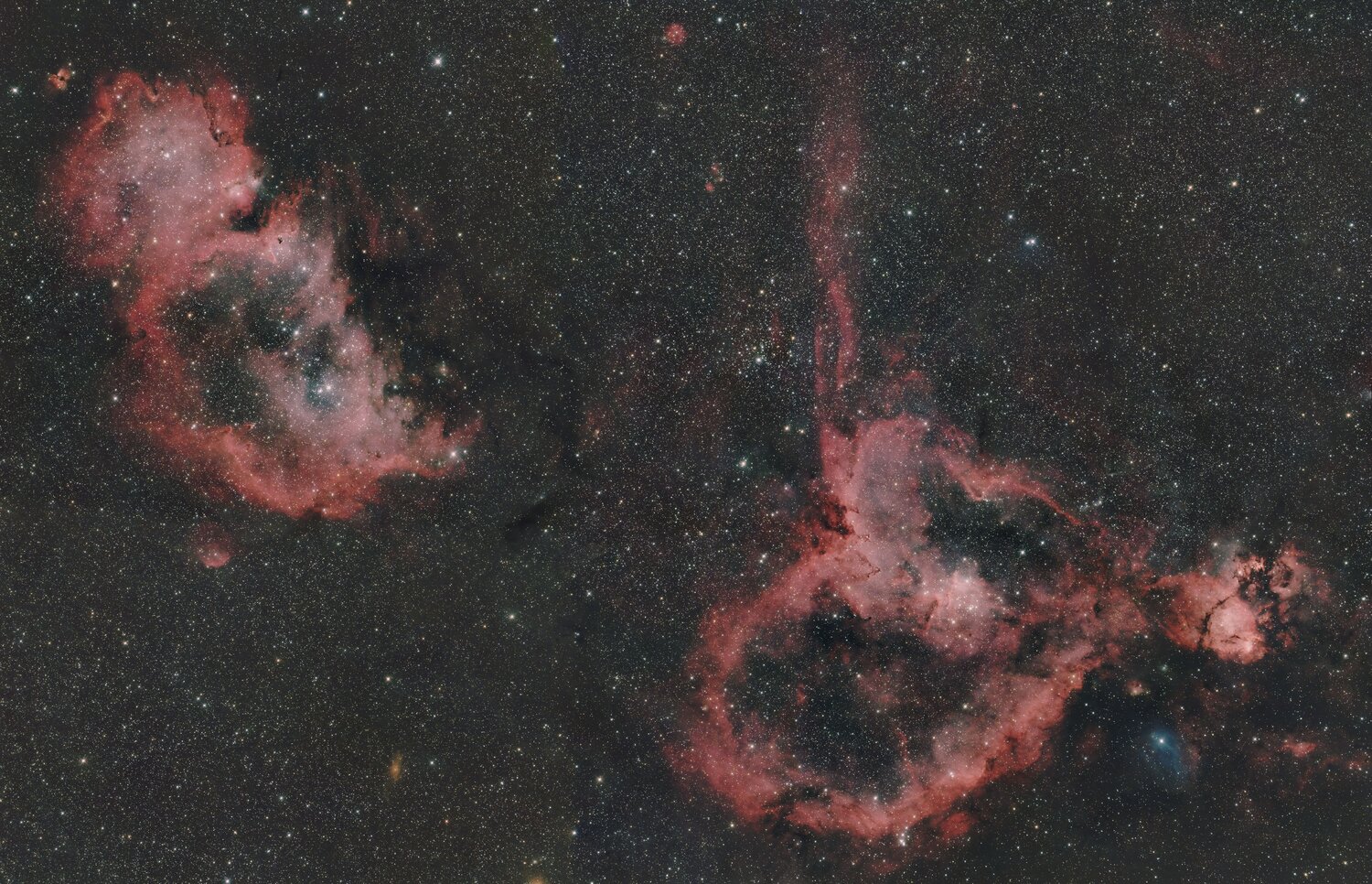 IC1805_1848bis.thumb.jpg.3945cac7dbcfd66e3e37084fab465a37.jpg