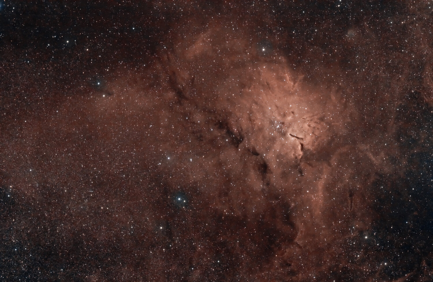 NGC6820.thumb.jpg.e002215b534e0dbe7dea41f85ae9b075.jpg