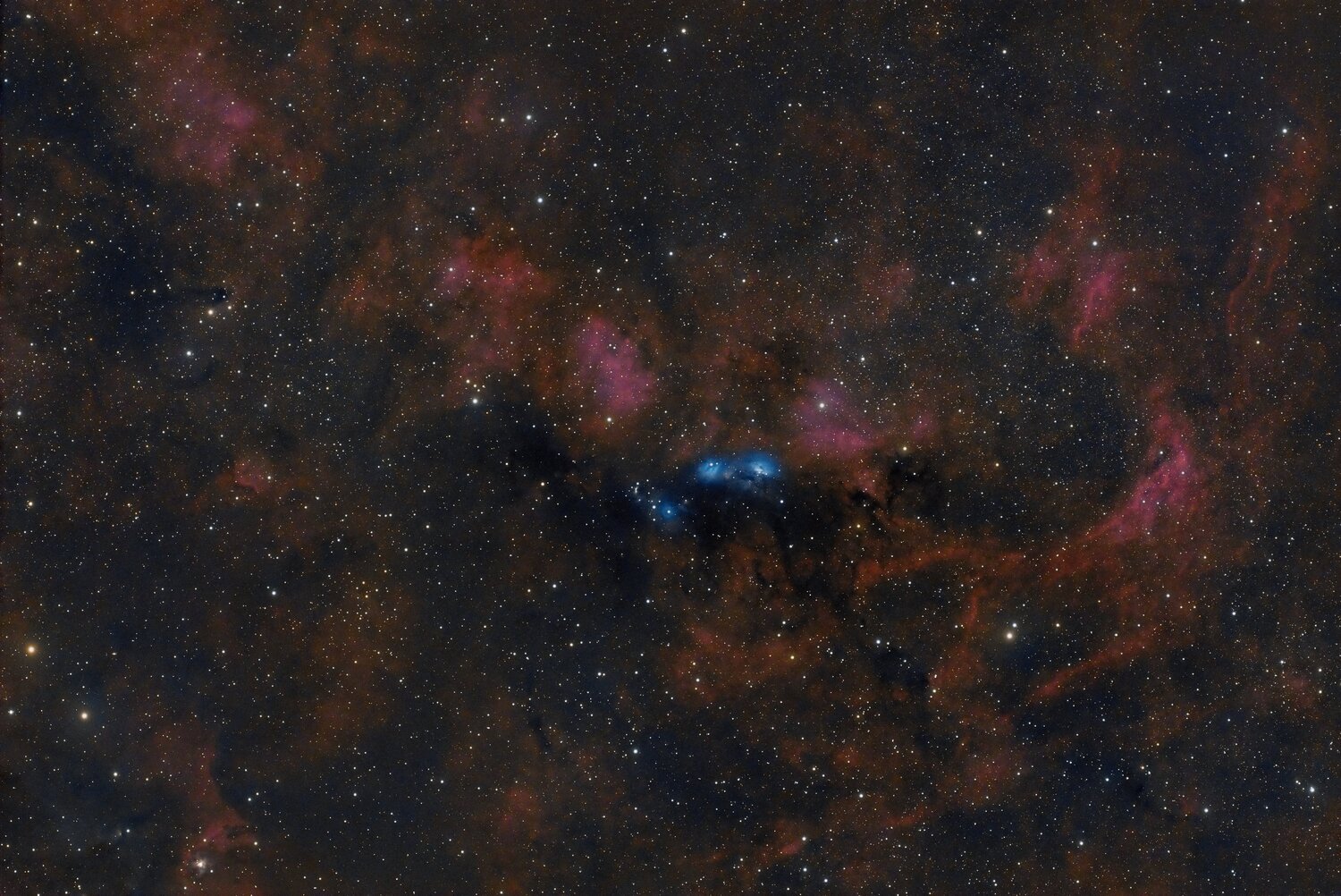 NGC6914_20230829_DBE.thumb.jpg.3c29f03aeba7c1cc7156678324773f2b.jpg