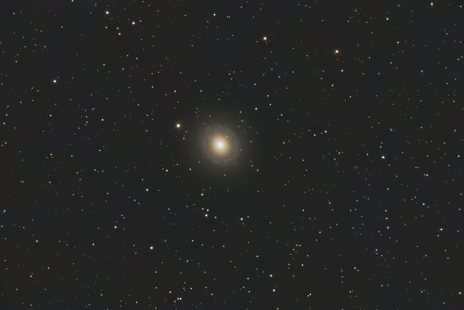 NGC7217.thumb.jpg.be06f6ca333e8000682aee5eb9ba35f3.jpg