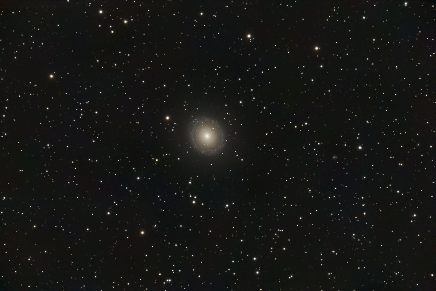 NGC7217_V2.thumb.jpg.3f4d9a919d268cde1ff9053451a94db8.jpg
