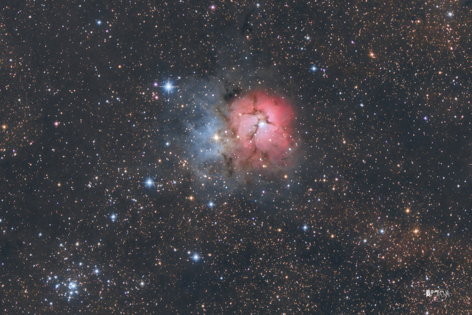 trifid_440crop.thumb.jpg.4640ac2dc244d7cb7e0be87df360dc19.jpg