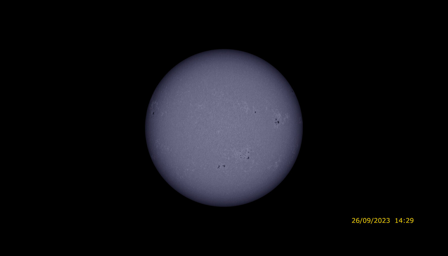 443 Full_cak_color.jpeg