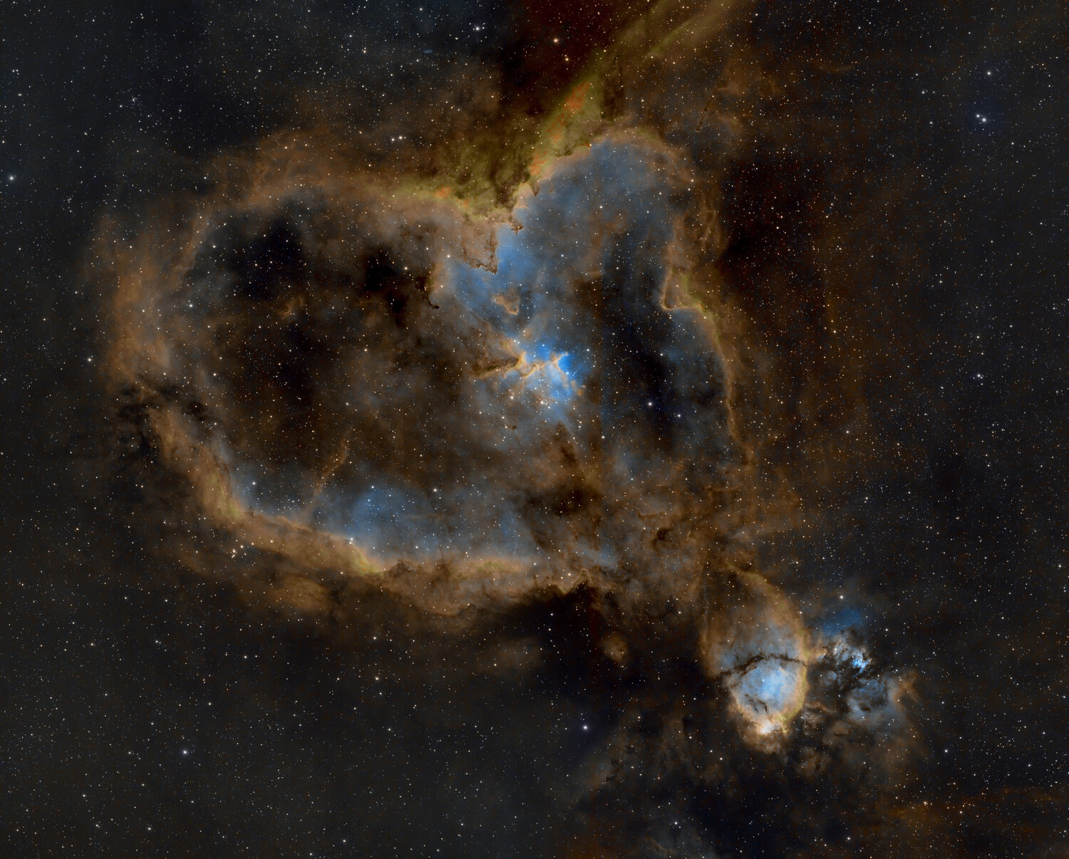 IC1805_FULL.thumb.jpg.fe085abb36845c44f1a67450b917bd44.jpg