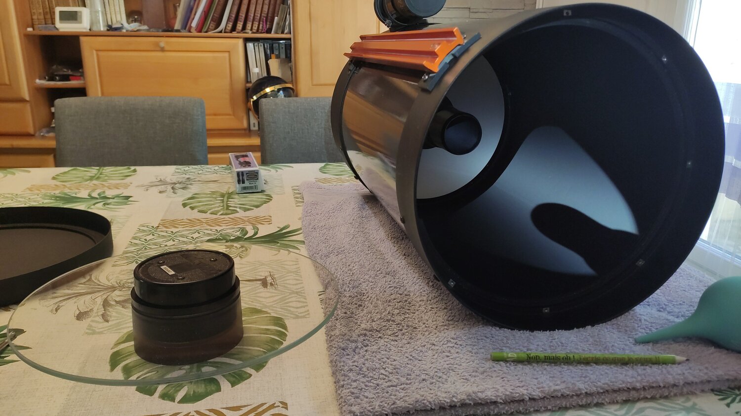 IMG-20230607-WA0022.jpeg