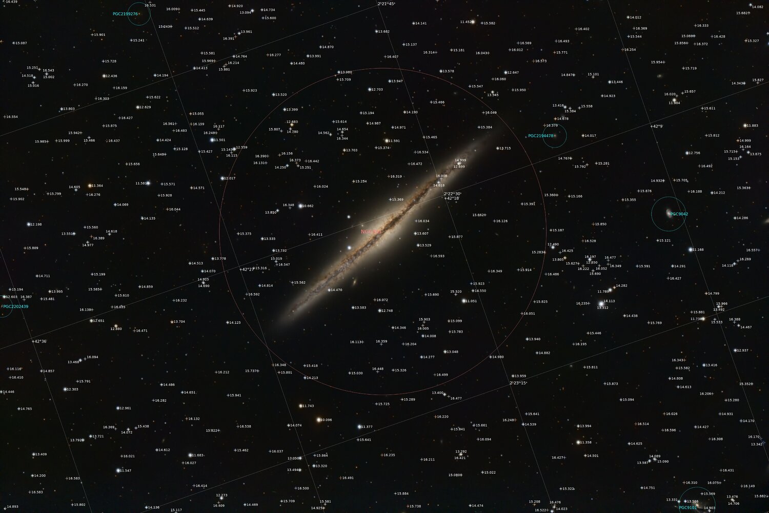 NGC891_Annotated.thumb.jpg.eb4e7d894f886dcaa32b0ede29f2c436.jpg