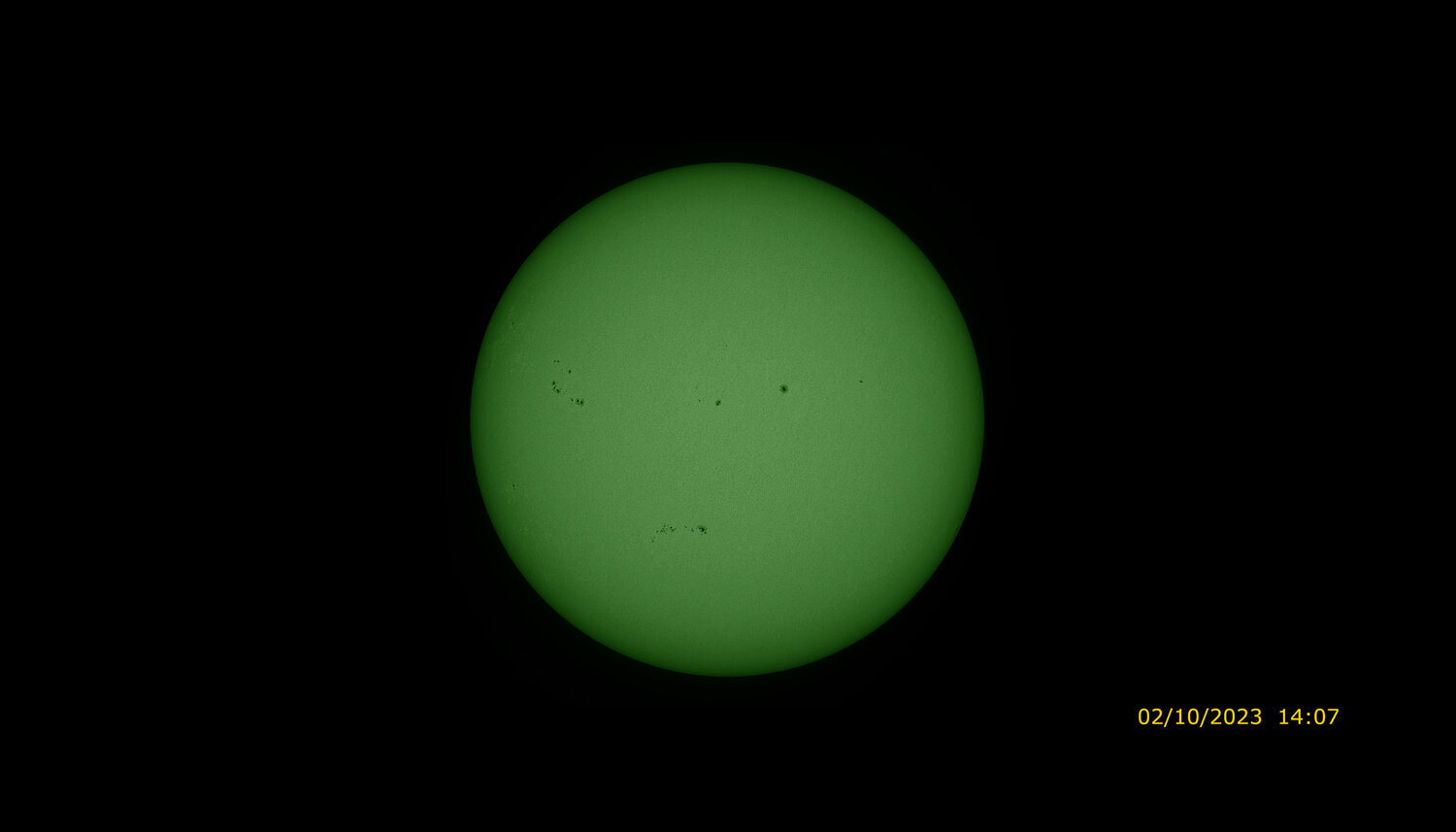 445 Full_continuum_color.jpeg