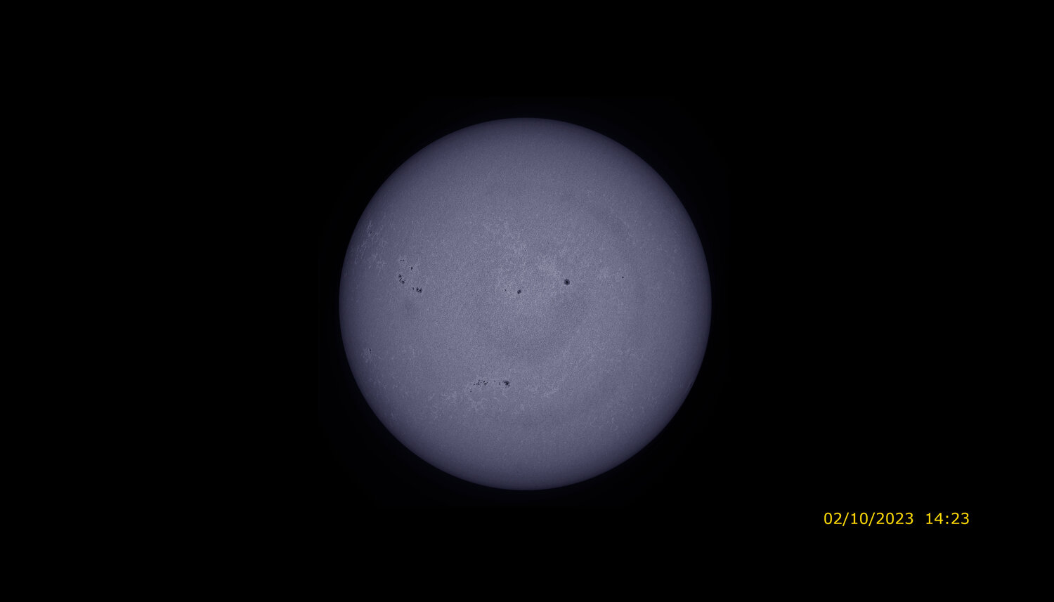 447 Full_cak_color.jpeg