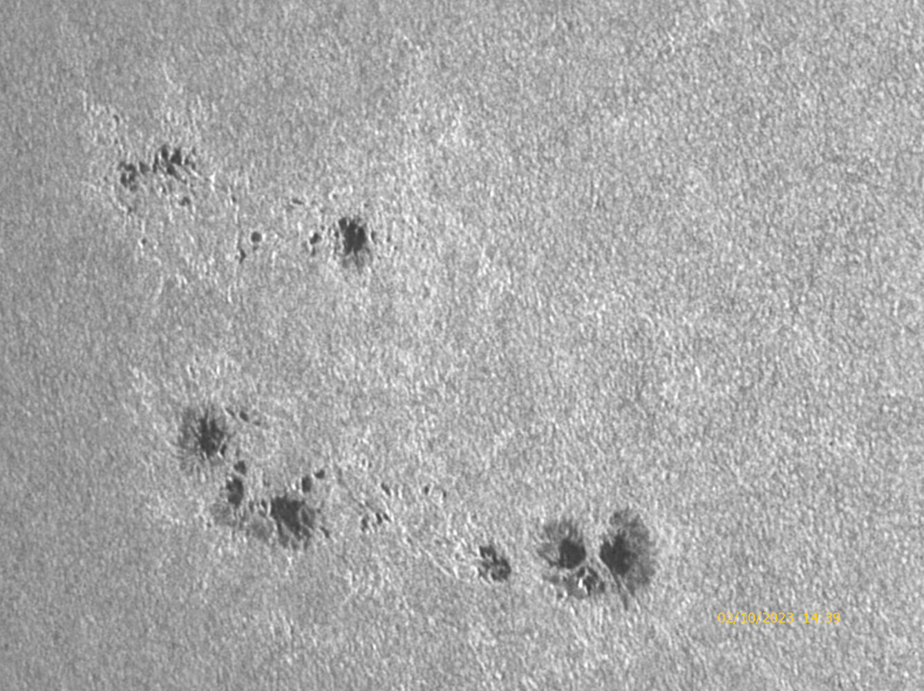 448 (2)_zoom_cak_wavelets.jpeg