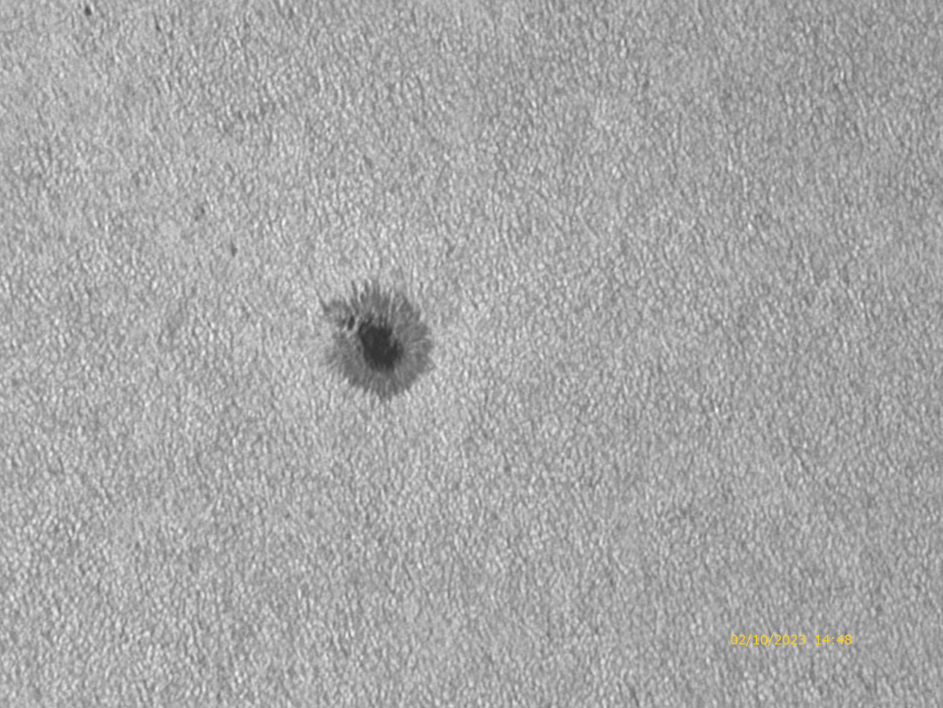 449 (3)_zoom_gband_wavelets.png