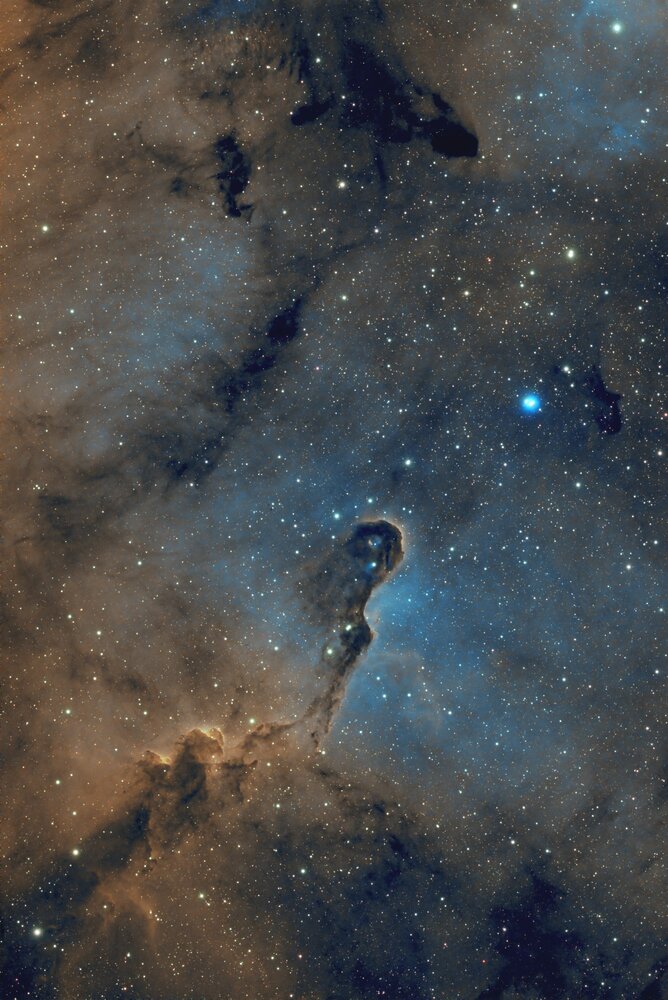 IC1396.jpg