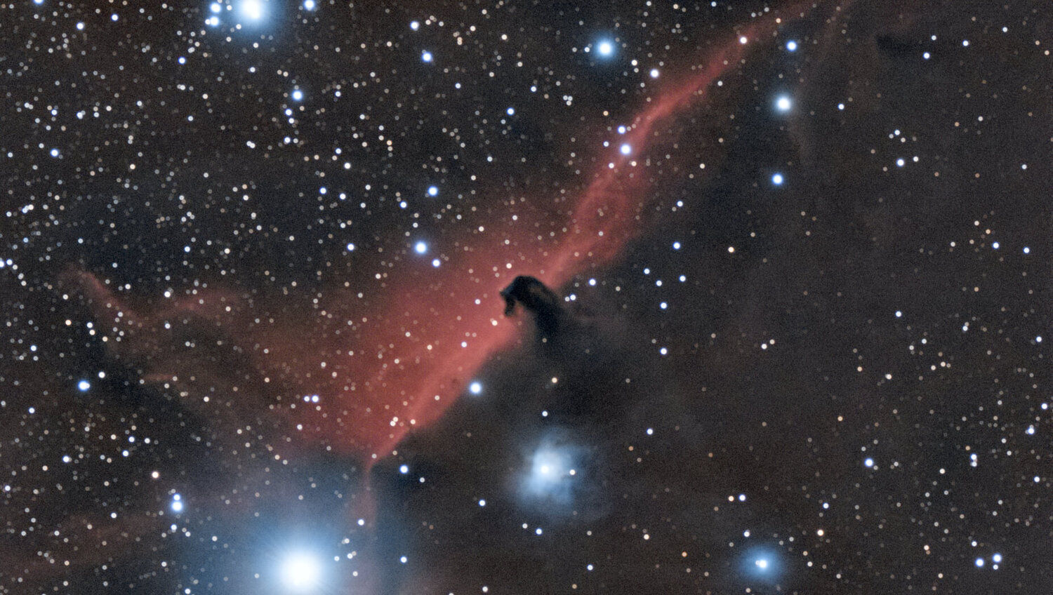 IC434.thumb.jpg.0e26a747f2371cc25a5eac6fbbf0263f.jpg