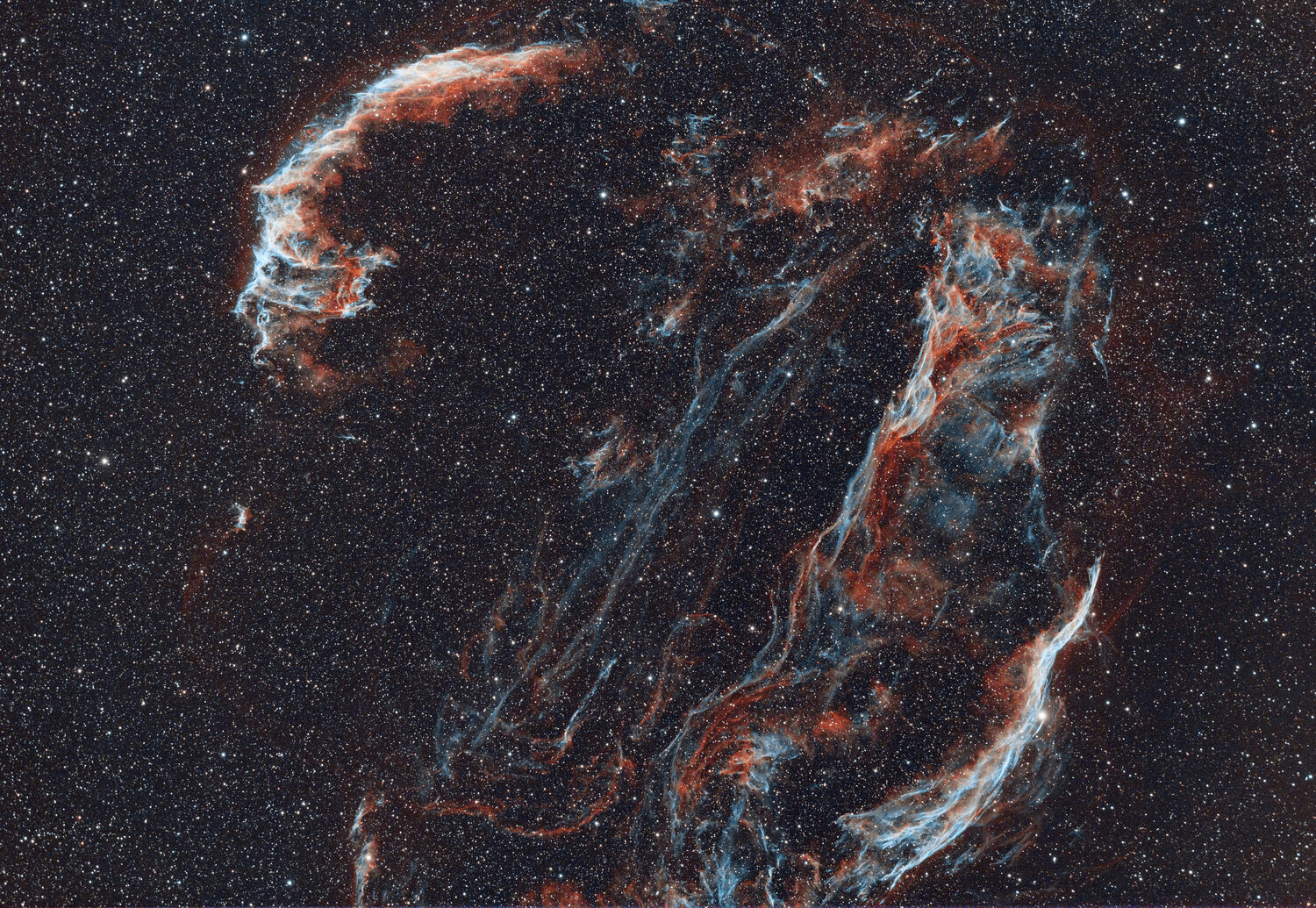 Les dentelles du cygne.jpg