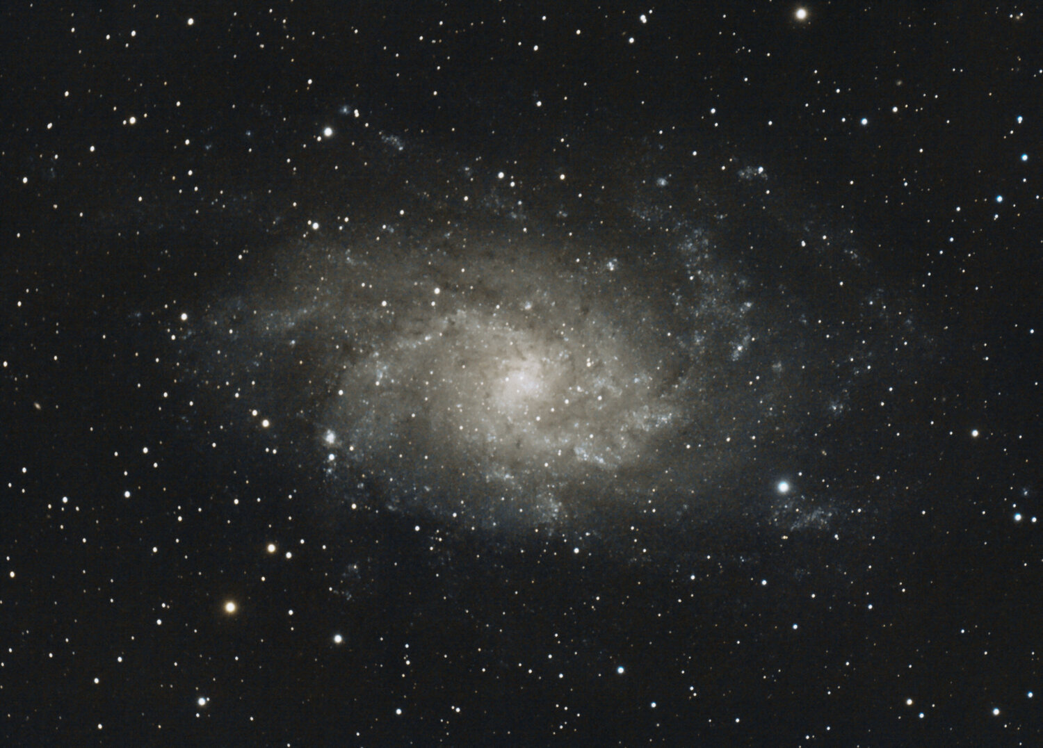 M33 18bits BDLP avec darks 3h de poses.jpg