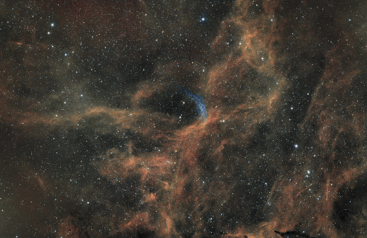 NGC6883_WR134.thumb.jpg.16faaf9594aebf996ba3da56f8278b5d.jpg