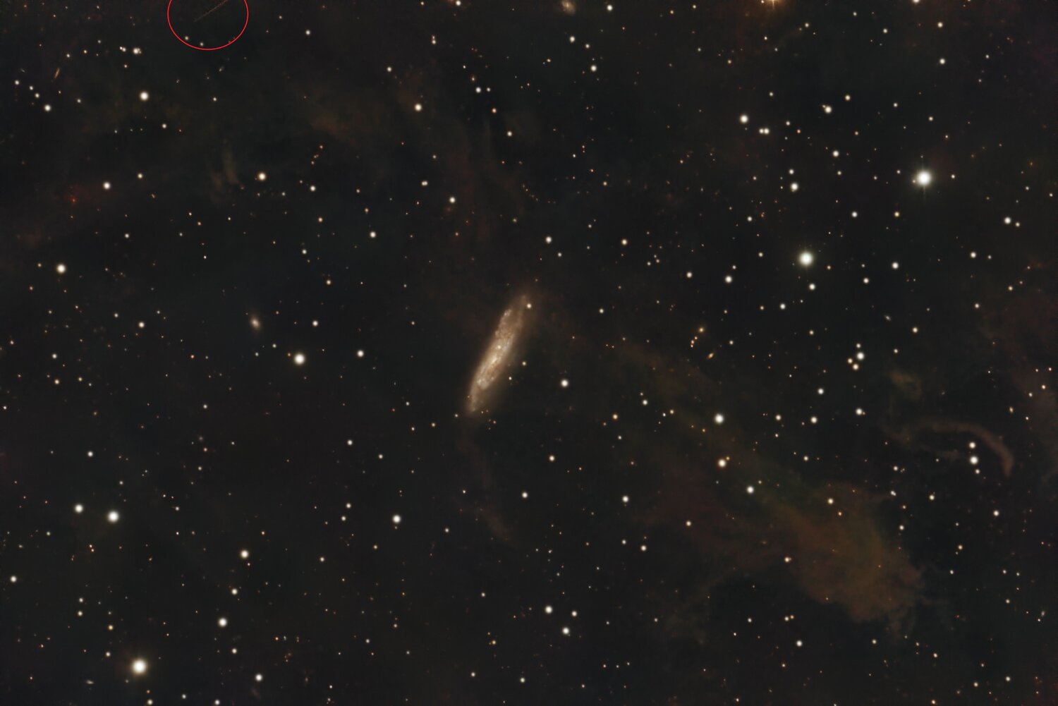 NGC7497_aster.thumb.jpg.5f575a17e2569d9a6400ae7b4a474d3a.jpg