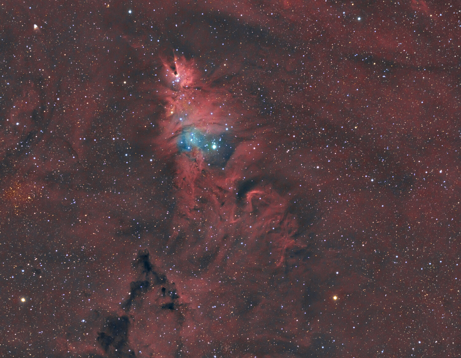 ngc2264-fs60-f42-atik460ex-HaRVB-SP.thumb.jpg.d9c15989c4c7388a7196c11e55cbc35b.jpg